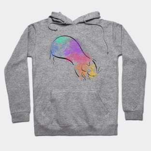 Rainbow Guinea Pig Hoodie